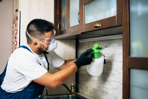 Best Pest Prevention Services  in Stoneville, NC