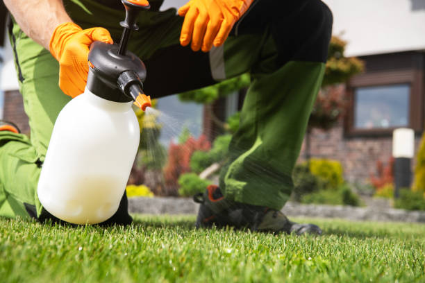 Best Pest Control Near Me  in Stoneville, NC