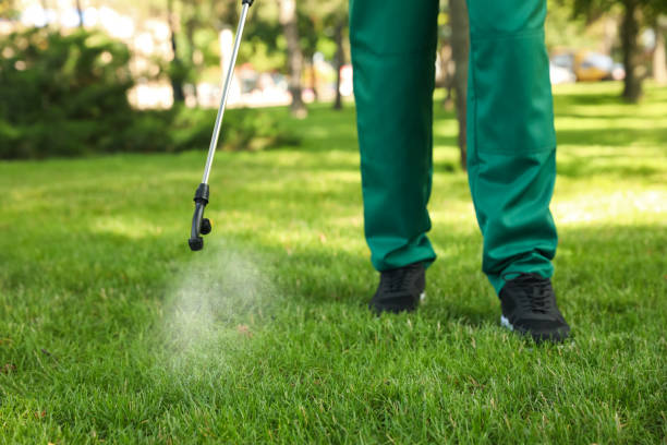 Best Emergency Pest Control  in Stoneville, NC