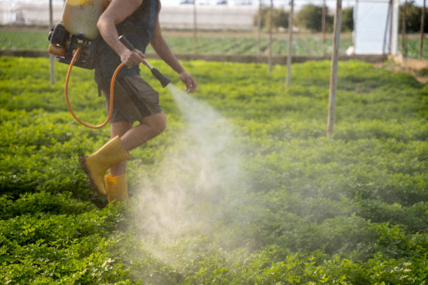 Pest Control Cost in Stoneville, NC