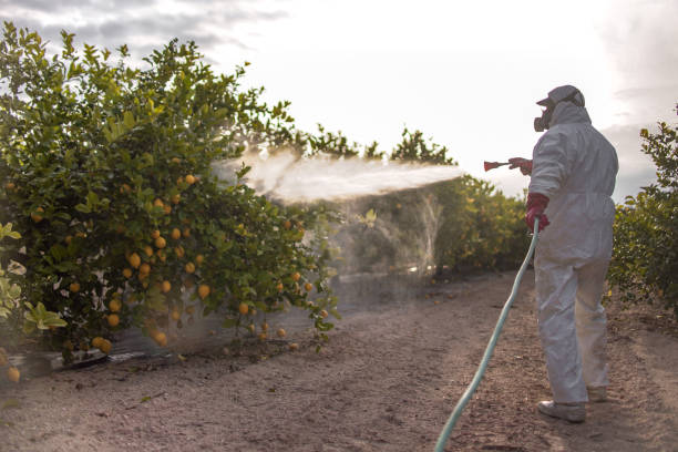 Best Insect Control  in Stoneville, NC