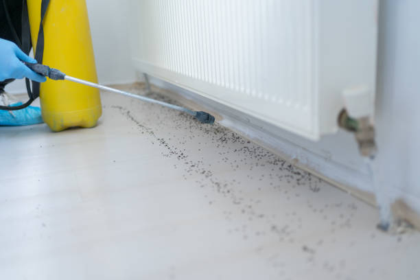 Best Best Pest Control Companies  in Stoneville, NC
