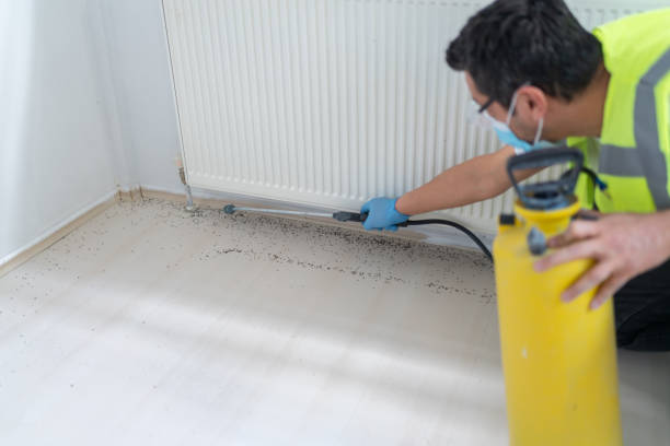 Best Affordable Pest Control Services  in Stoneville, NC