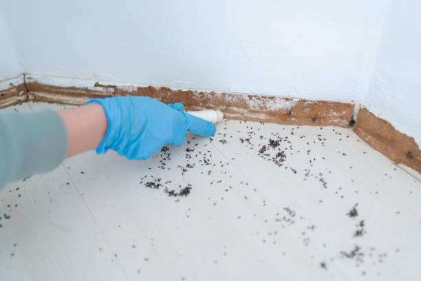 Best Wildlife Control Services  in Stoneville, NC