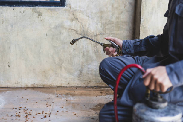 Best Pest Removal Services  in Stoneville, NC