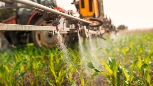 Reliable Stoneville, NC Pest Control Solutions
